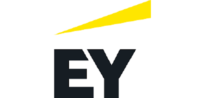 company logo 12